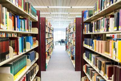 Библиотеки Московской области закупят книг на 22,5 млн рублей