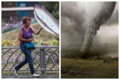 Погодная аномалия в Украине, синоптики забили тревогу: "Климатическое убежище — реальность"