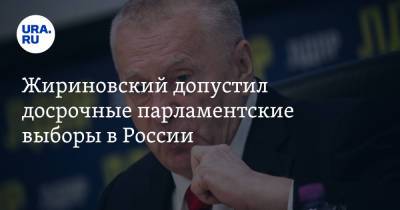 Жириновский допустил досрочные парламентские выборы в России
