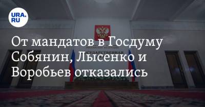 От мандатов в Госдуму отказались Собянин, Лысенко и Воробьев