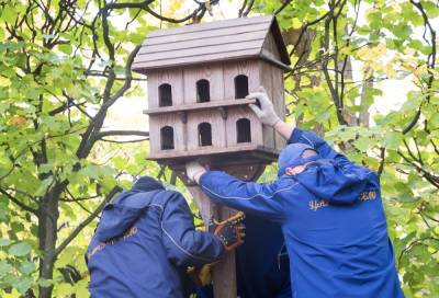 В Пушкине птицам установили 60 кормушек и купили полтонны семечек
