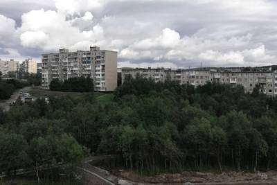 В Мурманске вырубят больные и поврежденные деревья