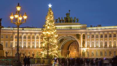 В Петербурге началось голосование по выбору новогодней ели для Дворцовой площади