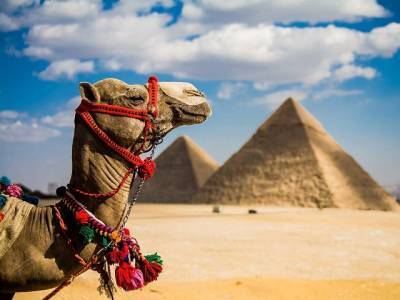 Названы новые правила получения визы в Египет
