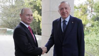 Путин поблагодарил Эрдогана за поддержку позиции по «Турецкому потоку»