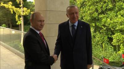 В Сочи проходит встреча Путина и Эрдогана — видео
