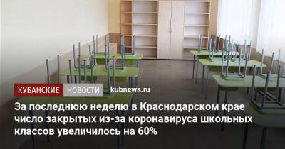 За последнюю неделю в Краснодарском крае число закрытых из-за коронавируса школьных классов увеличилось на 60%