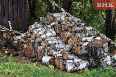 Муниципалитетам Коми предложили делиться деньгами на дрова