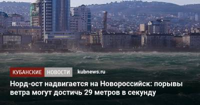 Норд-ост надвигается на Новороссийск: порывы ветра могут достичь 29 метров в секунду