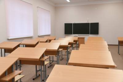 В Волгоградской области перевели на удаленку 2 школы и 266 классов