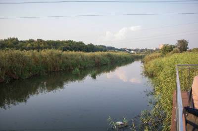 Эксперты рассказали, как спасти реку Темерник в Ростове-на-Дону