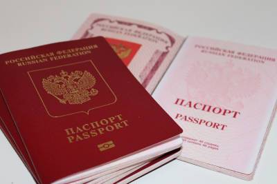 В МВД заявили о готовности к введению электронных паспортов – Учительская газета