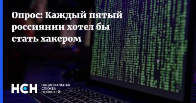 Опрос: Каждый пятый россиянин хотел бы стать хакером