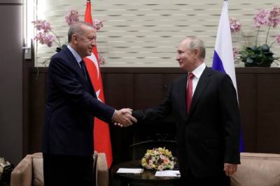 Путин призвал Эрдогана ревакцинироваться Спутником