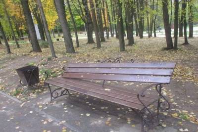 Вандалы проломили сцену и испортили скамейку в сквере 30-летия Октября в Боровичах