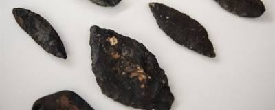 Археологи ТГУ обнаружили 100 килограммов редких артефактов эпохи неолита на острове Няша