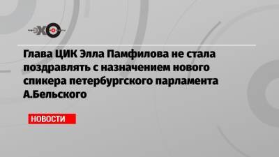 Глава ЦИК Элла Памфилова не стала поздравлять с назначением нового спикера петербургского парламента А.Бельского