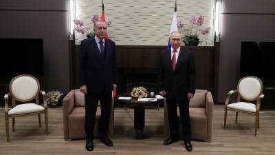 Эрдоган и Путин обсудили Сирию и закупки Анкарой комплексов С-400