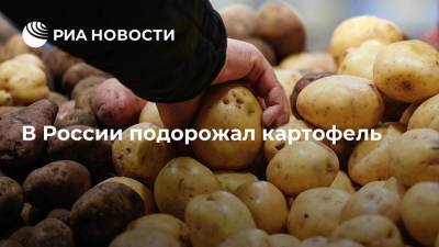 Росстат: картофель за неделю подорожал на 1,77 процента