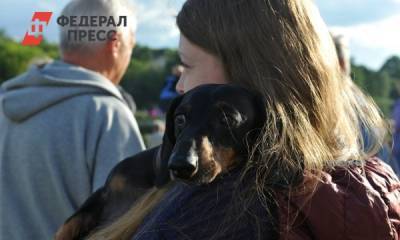 В одном из российских городов планируют ввести лимит на собак