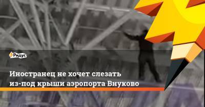 Иностранец не хочет слезать из-под крыши аэропорта Внуково