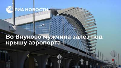 Мужчину, залезшего под крышу аэропорта Внуково в Москве, сняли и передали полицейским