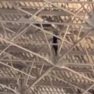 Мужчину, который забрался под крышу аэропорта Внуково, сняли и передали полицейским