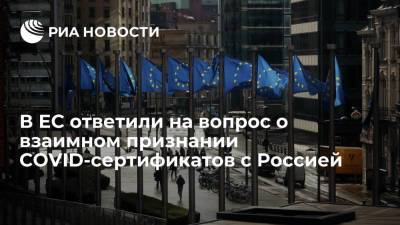 Представитель Еврокомиссии: Россия получила техническую информацию о COVID-сертификатах