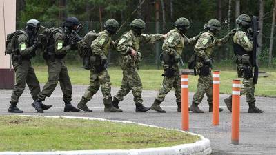 Минск привлек к охране границы с ЕС вооруженные силы и внутренние войска