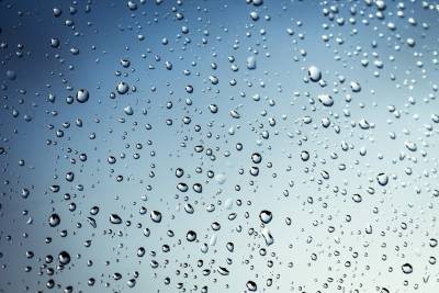 Обещают дождь, местами сильный. Погода в Ульяновской области 3 сентября
