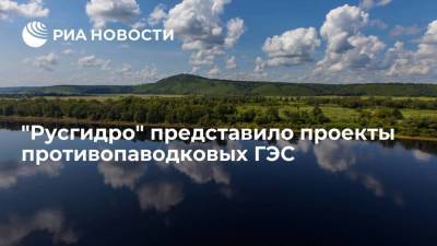 "Русгидро" представило проекты противопаводковых ГЭС в Амурской области