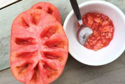Как собрать и сохранить до следующего года семена томатов