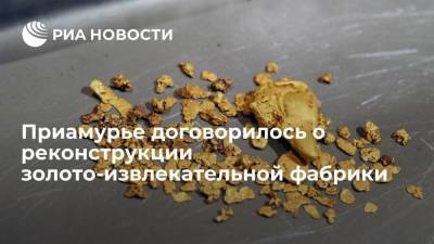 Приамурье договорилось на ВЭФ о реконструкции Албынской золото-извлекательной фабрики