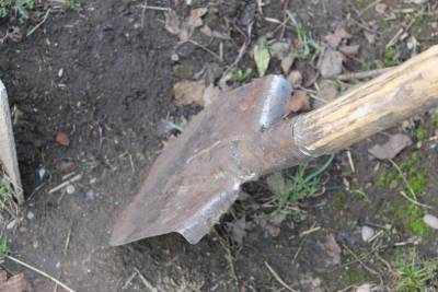 В соседнем с Башкирией регионе нашли уникальный скелет динозавра