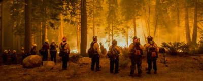 В тушении пожара «Калдор» в Калифорнии задействовано свыше 4,4 тыс. человек