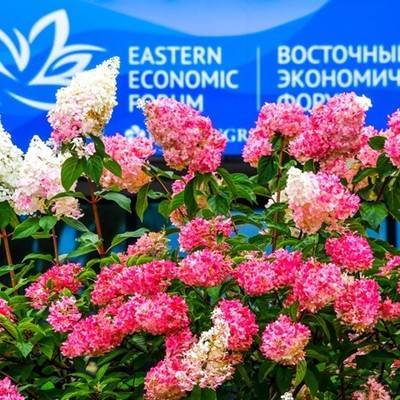 Соглашение о создании нового города под Владивостоком заключили на ВЭФ