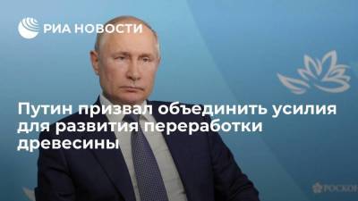 Президент Путин призвал власти и бизнес объединить усилия в развитии переработки древесины