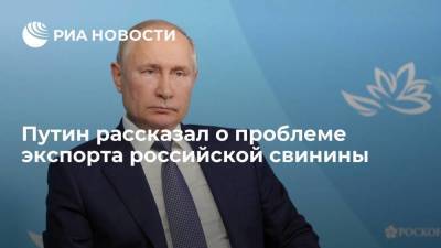 Президент Путин: мы постоянно занимаемся вопросом экспорта свинины