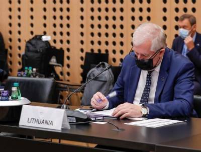Статью о возможной провокации в отношении Литвы министр обороны связывает с дезинформацией
