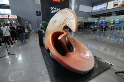 В аэропорту Одессы появился «звучный» арт-объект – чем он примечателен? (фото)
