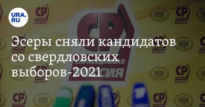 Эсеры сняли кандидатов со свердловских выборов-2021. Это наказание за сговор