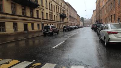 Дожди и усиление ветра ожидаются в Петербурге на выходных