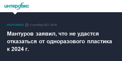 Мантуров заявил, что не удастся отказаться от одноразового пластика к 2024 г.