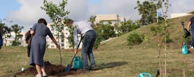 Во Владивостоке участники ВЭФ высадили сто реликтовых деревьев