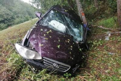 В Суземском районе Hyundai влетел в дерево – пострадал пассажир