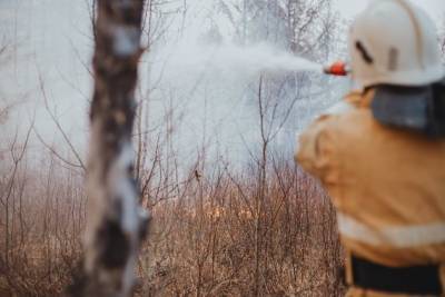 «РЖД» заплатила 500 тыс. руб. штрафа за лесной пожар в Забайкалье