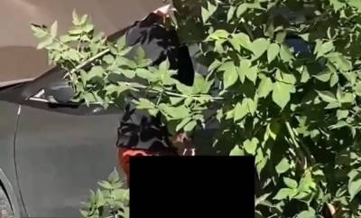 Будь осторожен! В Невском районе у школы был замечен мастурбирующий мужчина — видео