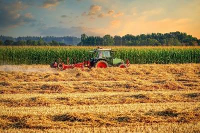 В 2022 году на поддержку белгородских сельхозпроизводителей направят 900 млн рублей