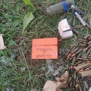 В Кирилловке обнаружили схрон со взрывчаткой и боеприпасами. Фото