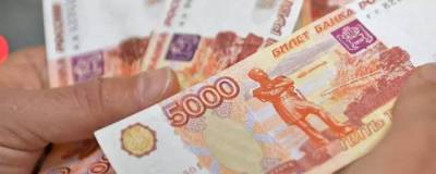 Во Владимирской области аферист получил 300 тысяч рублей от государства на развитие бизнеса